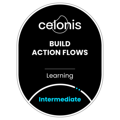 Build Action Flows